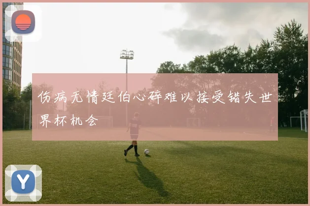 伤病无情廷伯心碎难以接受错失世界杯机会