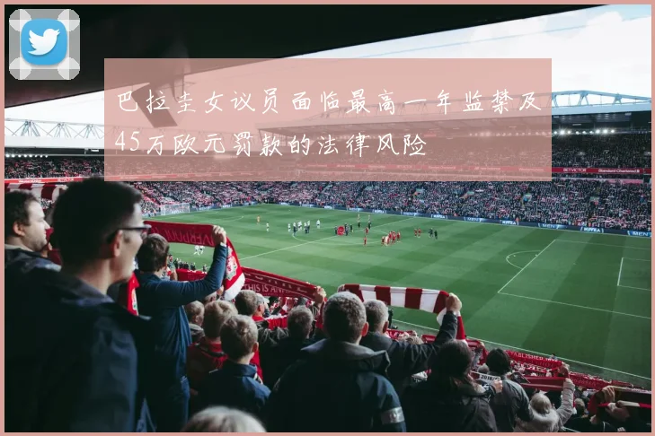巴拉圭女议员面临最高一年监禁及45万欧元罚款的法律风险