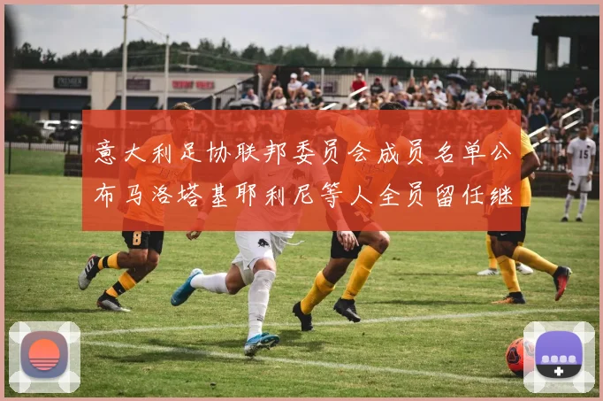意大利足协联邦委员会成员名单公布马洛塔基耶利尼等人全员留任继续服务